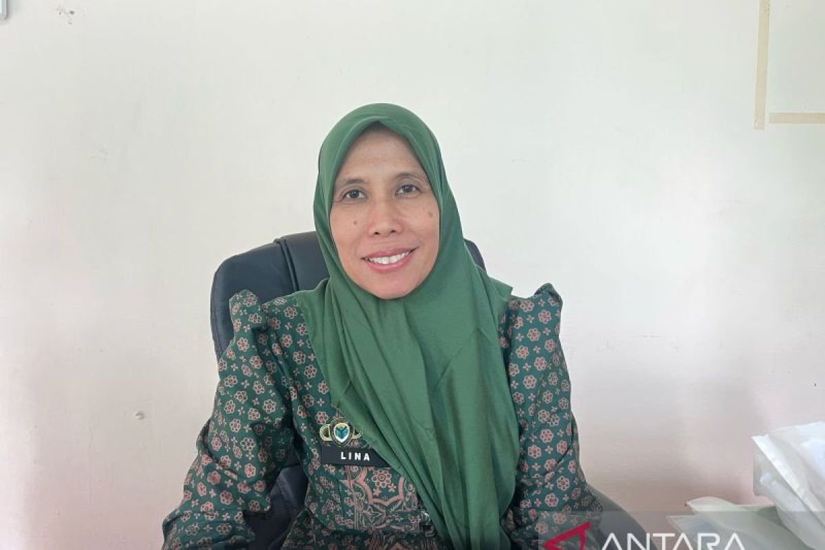 Pengumuman kelulusan PPPK tahap dua sudah keluar