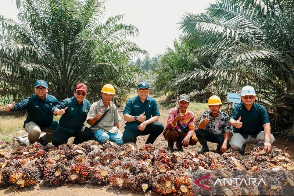 PTPN IV Regional III Jadi Pilot Project Wujudkan Produktivitas 7 Ton CPO