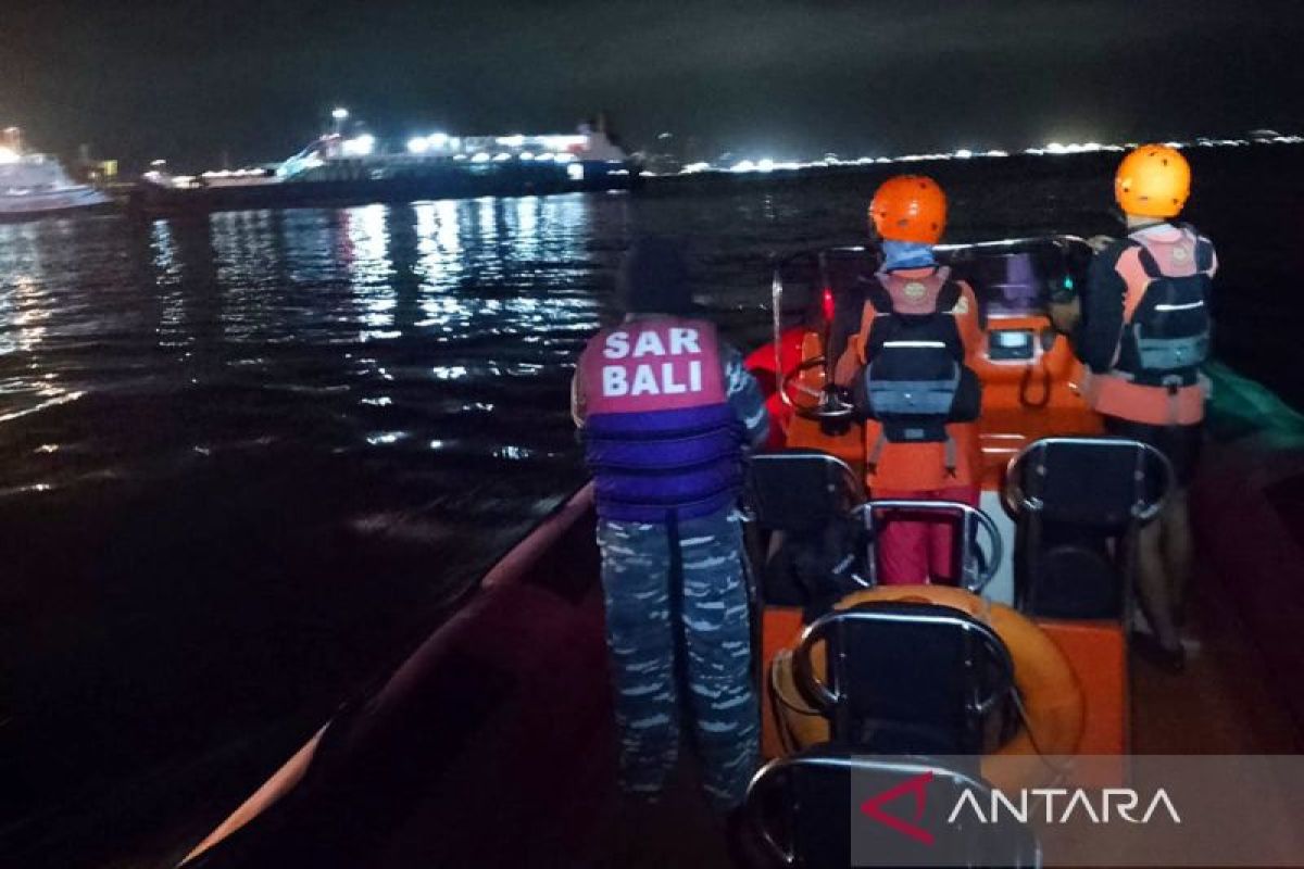 At least 31 rescued from ferry that sank in Bali Strait: ministry
