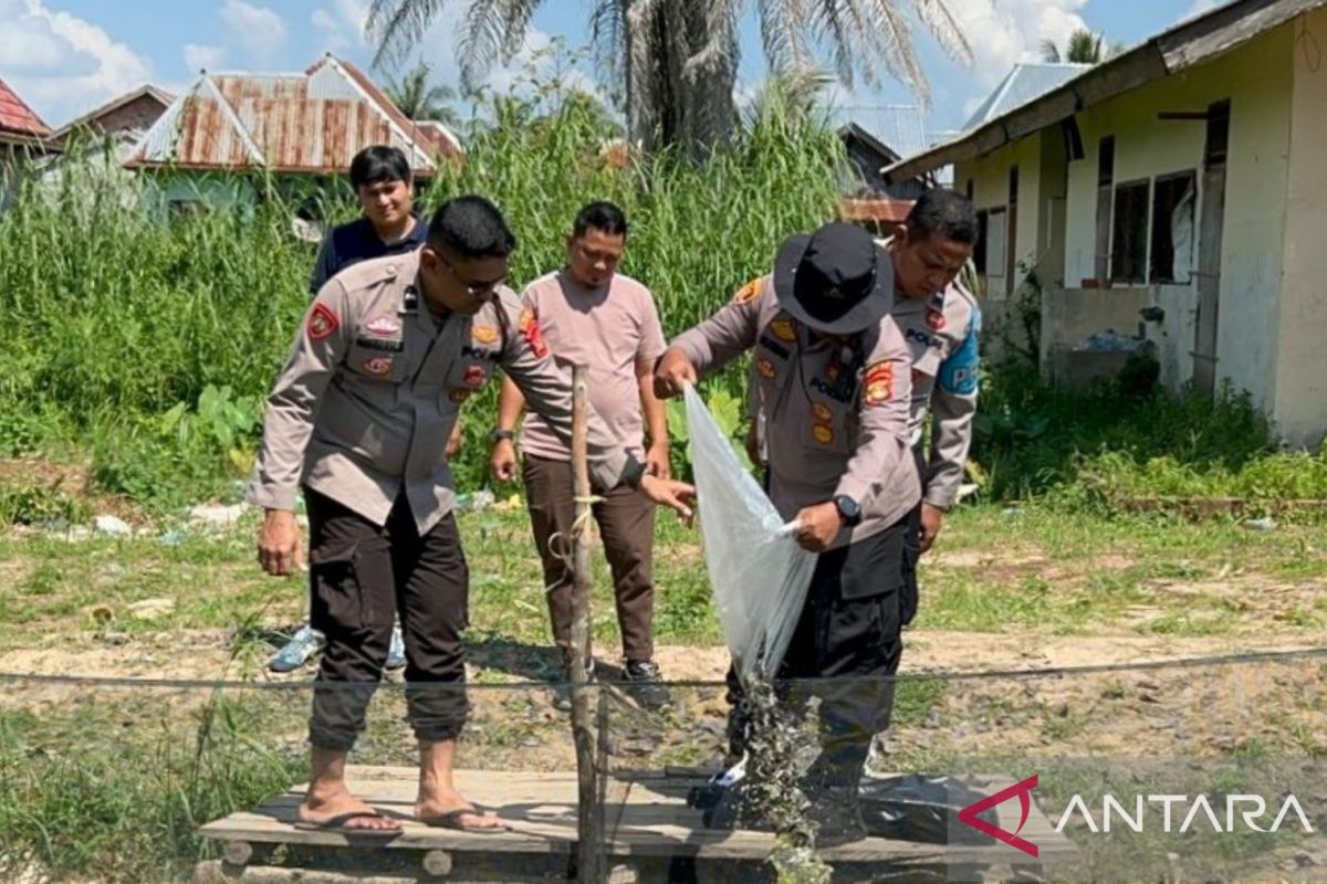 Polres Ogan Ilir tebar 1.800 benih ikan patin Thailand di Pemulutan