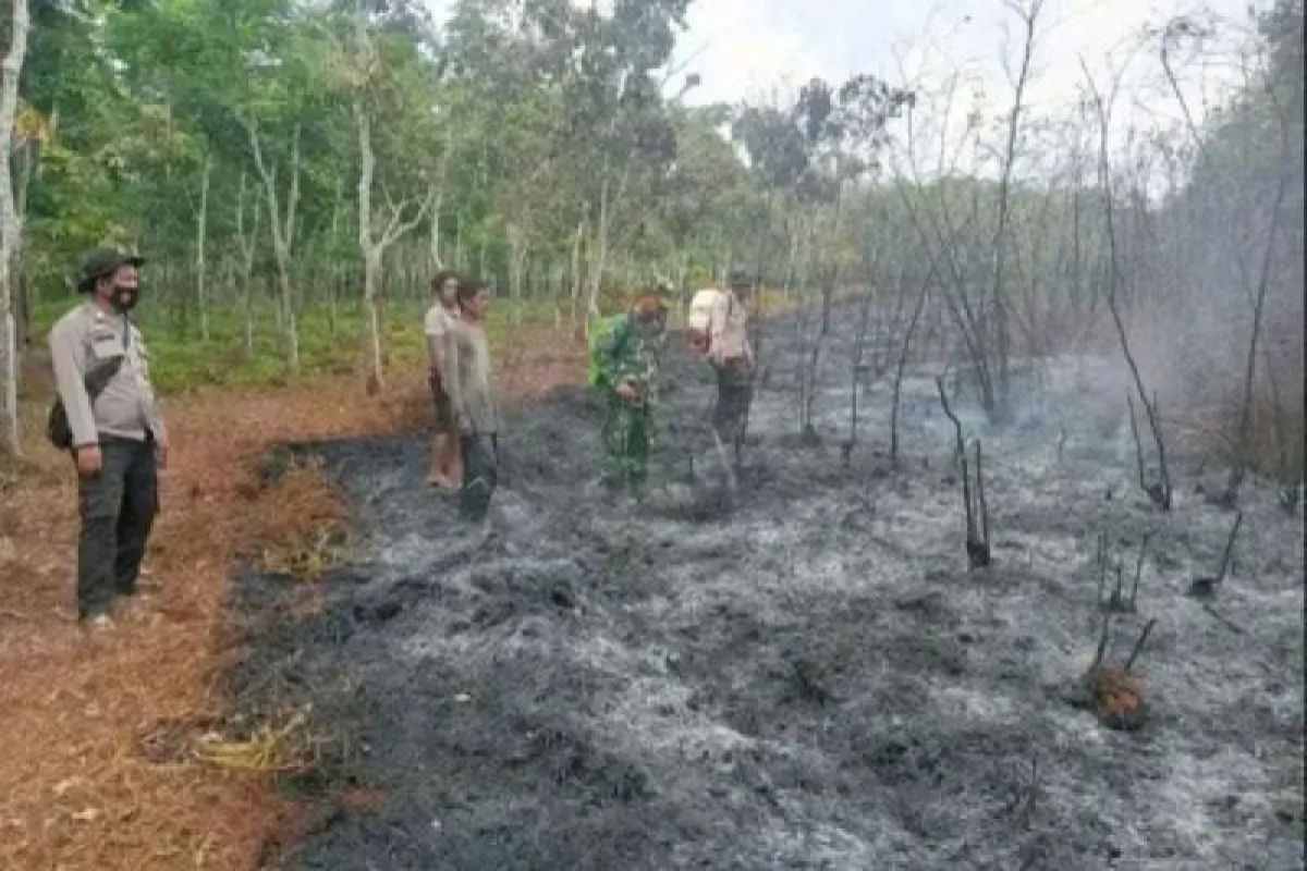 Pemkab Lahat tetapkan status siaga darurat karhutla