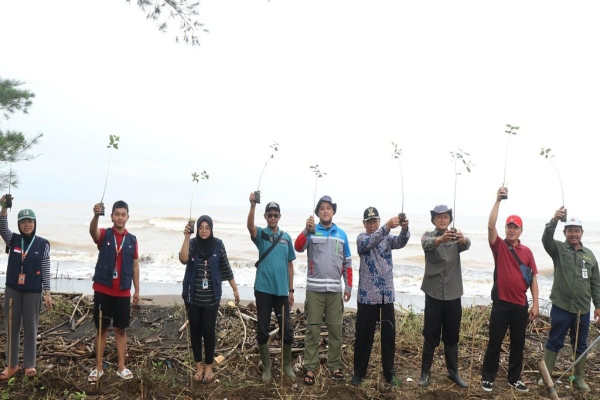 PLTU Batang lanjutkan tanam mangrove di kawasan pantai