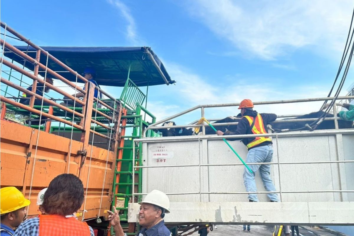 Pelindo-Kementan RI bangun instalasi karantina hewan di Cilacap
