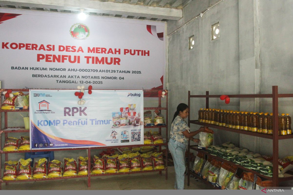 Ekonom ingatkan pentingnya mitigasi risiko dalam pendanaan Kopdes