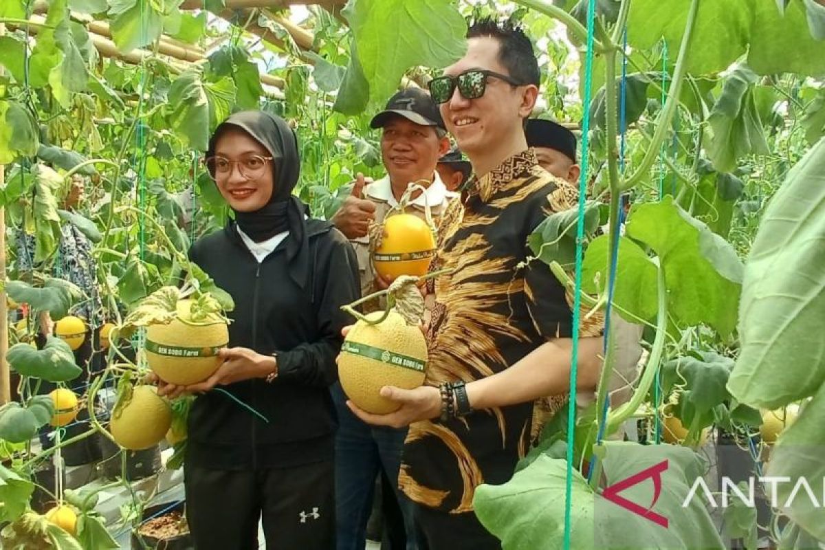 Pemkot Kediri dorong pemanfaatan lahan kosong guna budi daya pertanian
