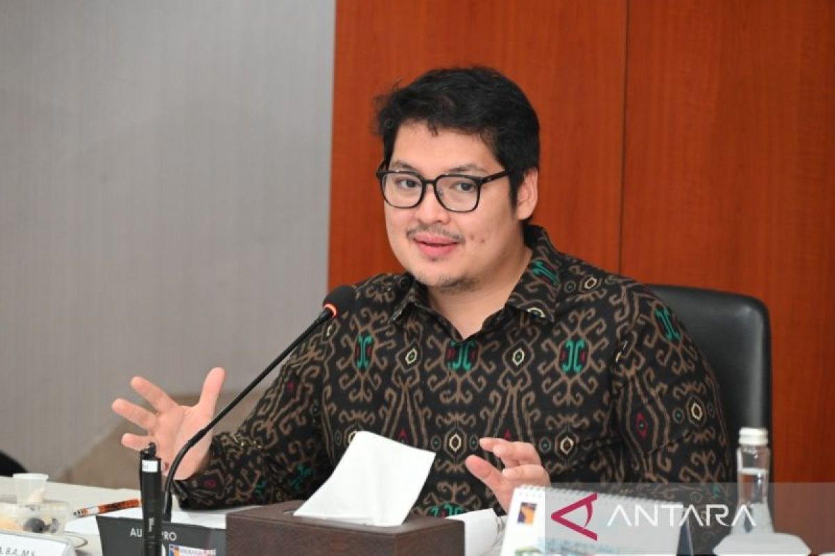BKSAP DPR dorong sinkronisasi regulasi percepat aksesi OECD