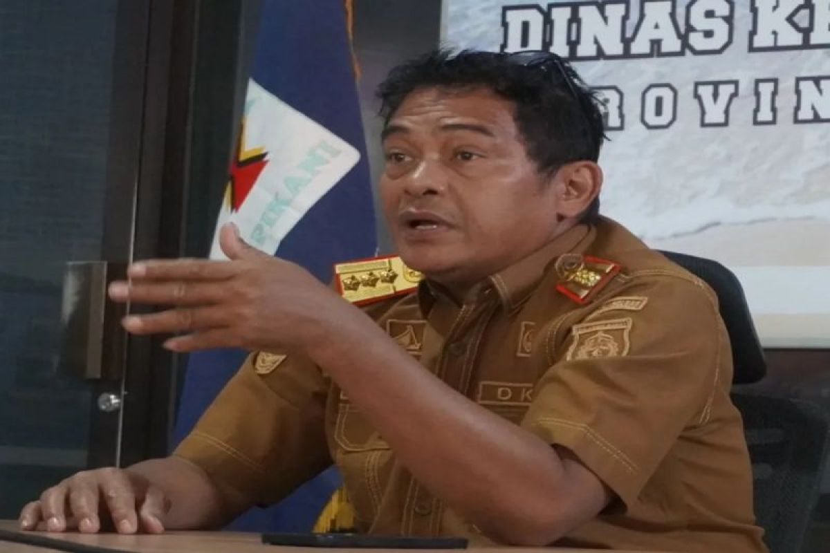 Sulbar bangun kawasan sentra industri perikanan di Mamuju
