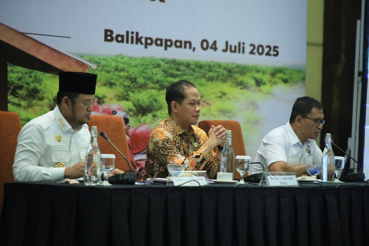 Some 1,060 companies ready to prevent land fires: Minister