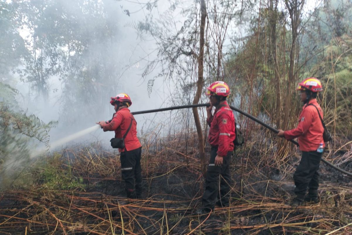 Karhutla seluas 4 ha di Siak, tim gabungan berjibaku memadamkan