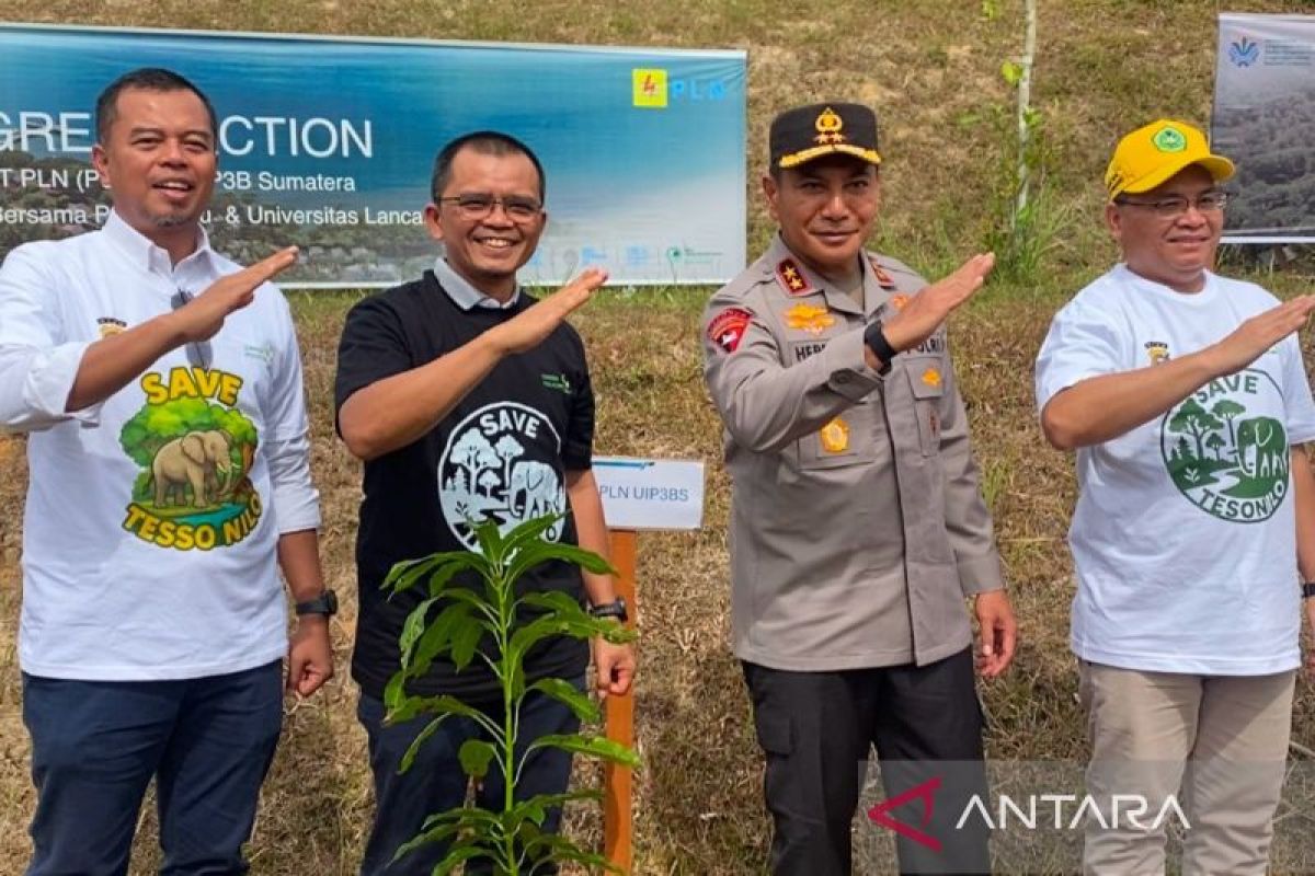Polda Riau dan PLN kolaborasi tanam pohon untuk hijaukan kampus di Unilak