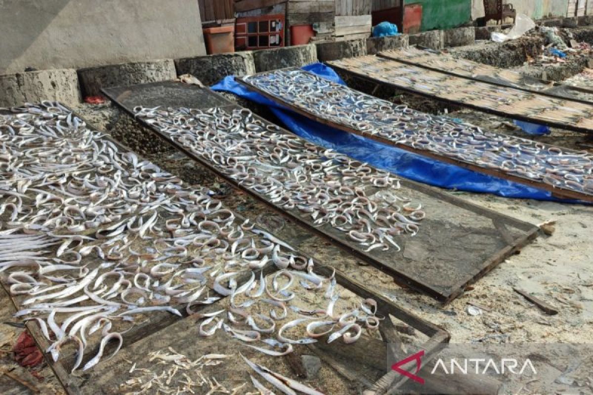 Pemkot Bengkulu dorong pelaku usaha ikan miliki sertifikat halal