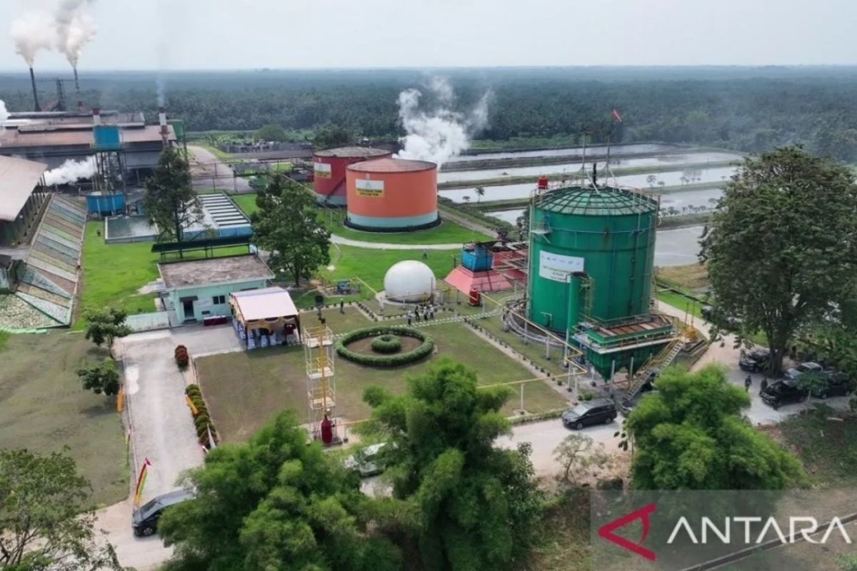 PTPN IV Regional III Riau dan Aiken Jepang gesa pembangunan PTBg