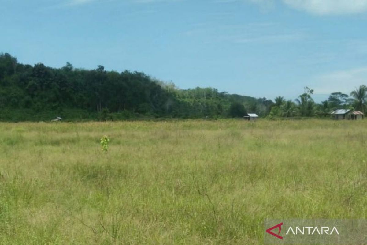 Distan Mukomuko targetkan pekerjaan optimasi lahan non-rawa pada Juli