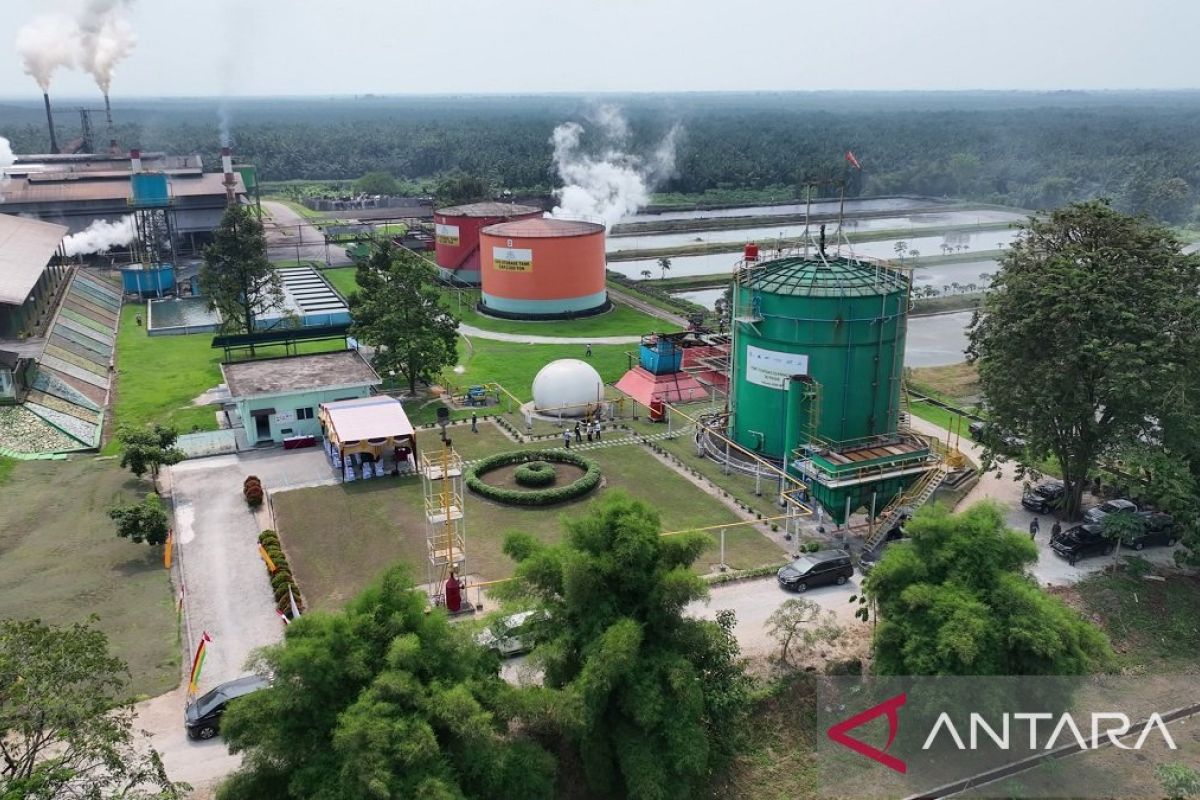 PTPN IV PalmCo Gandeng Aiken Jepang, Targetkan Cofiring PTBg Beroperasi Akhir Tahun