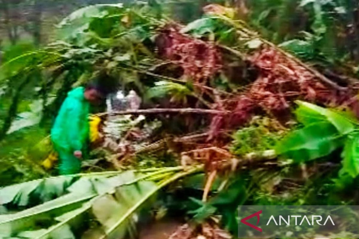 BPBD Cianjur menyiagakan petugas dan relawan di tiap desa antisipasi bencana