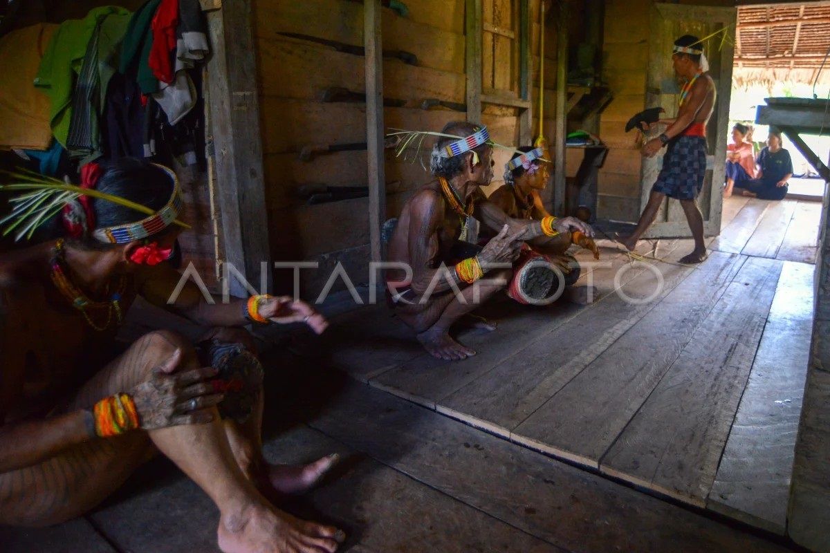 Ritual Lia Siboito di pedalaman Mentawai - ANTARA Sumbar