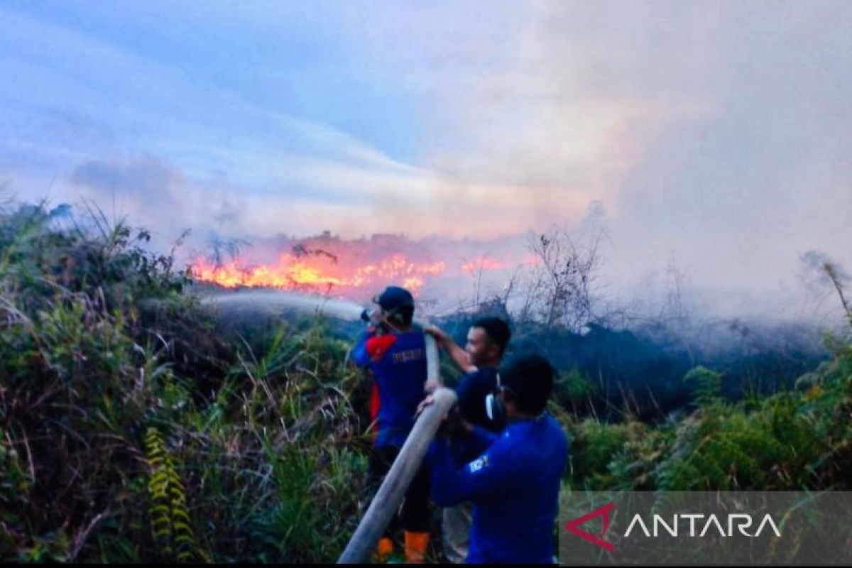 Aceh Barat BPBD battles nine-hectare land blaze
