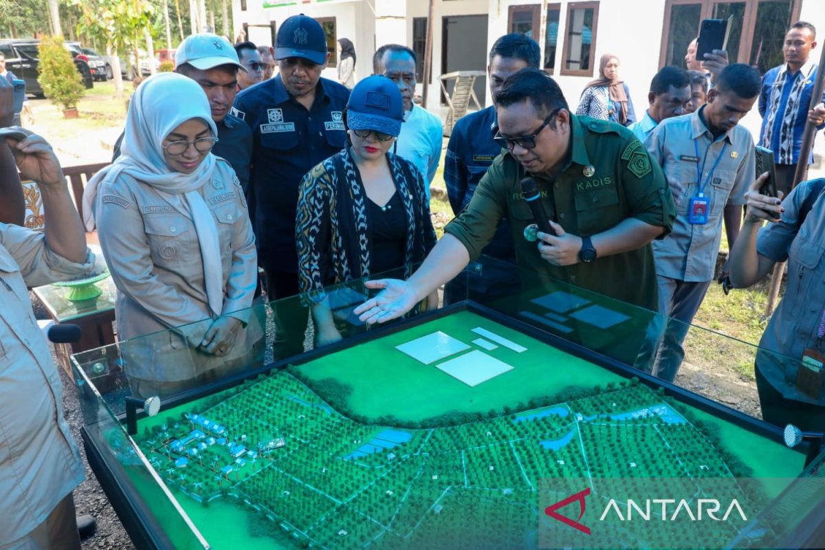 Kemdiktisaintek menyiapkan pendirian Sekolah Garuda di Sulawesi Tenggara
