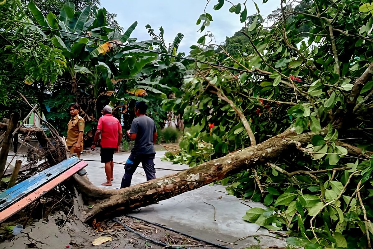 BPBD Natuna imbau masyarakat waspadai cuaca ekstrem dan pohon tumbang