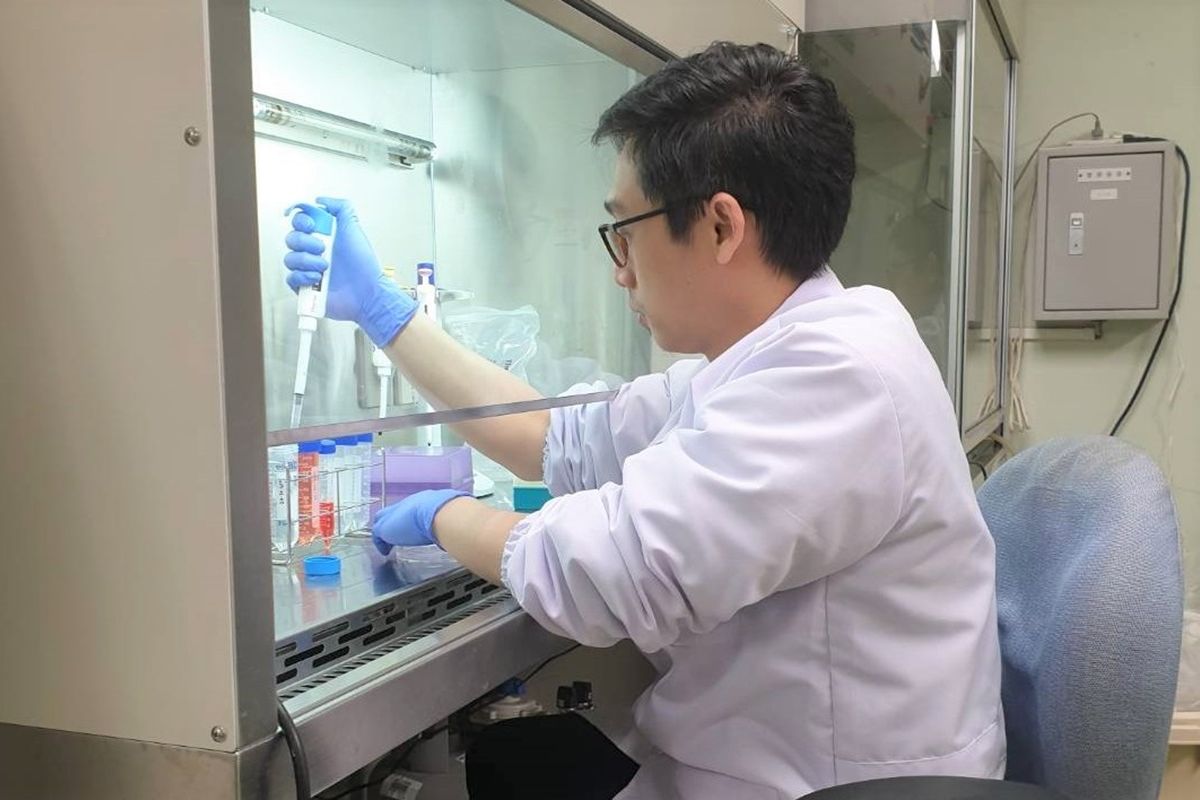 Indonesian researcher finds anti-cervical cancer compound in mulberry