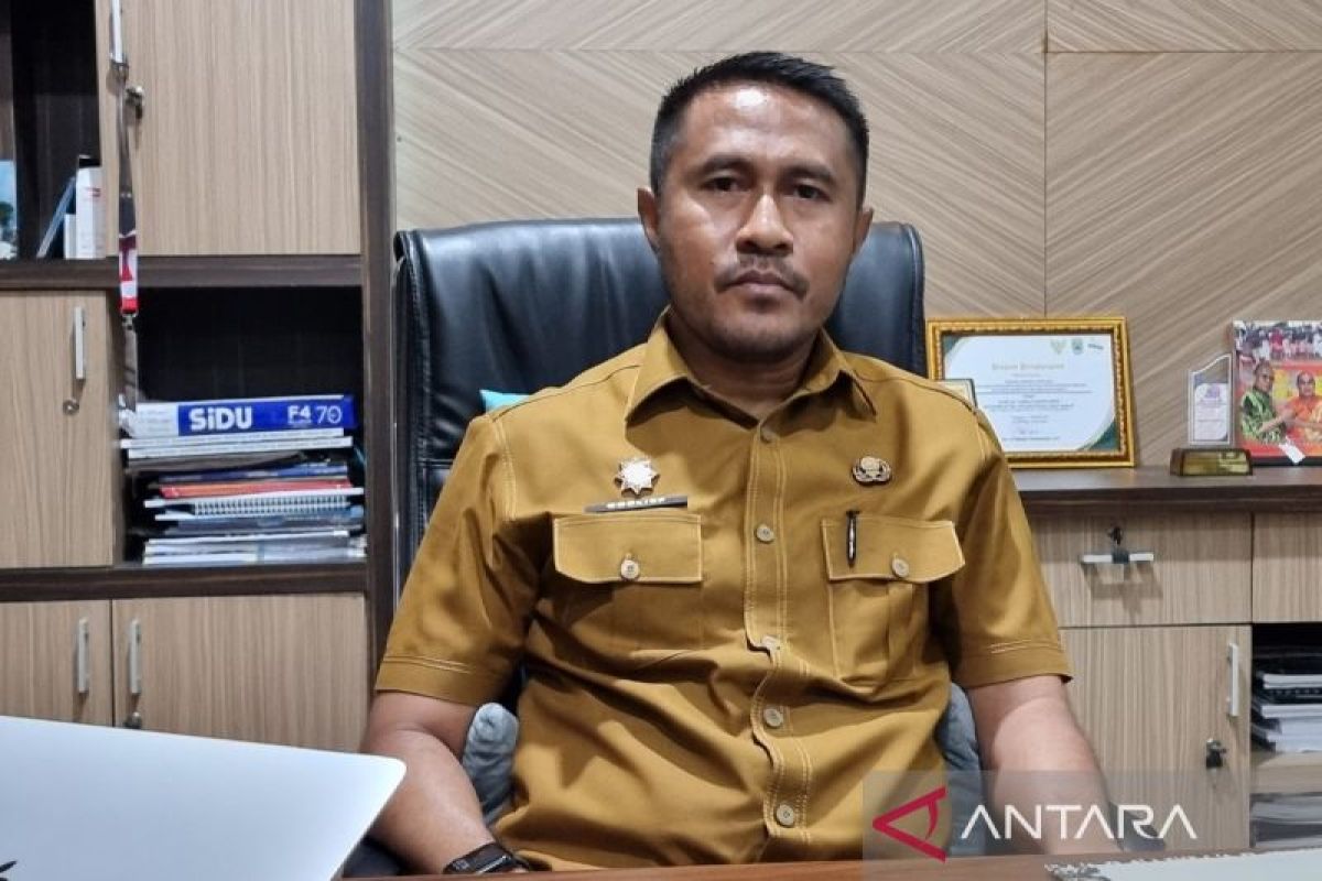 Realisasi investasi 2024 di Papua Barat capai Rp13,03 triliun