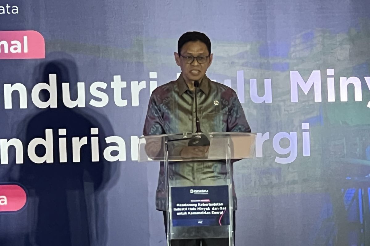 ESDM tawarkan 75 blok migas, potensi terbesar di Papua dan Sulawesi