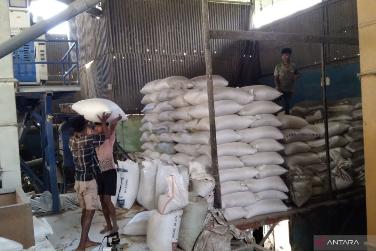 Pengamat sebut subsidi biaya distribusi tekan kenaikan harga beras