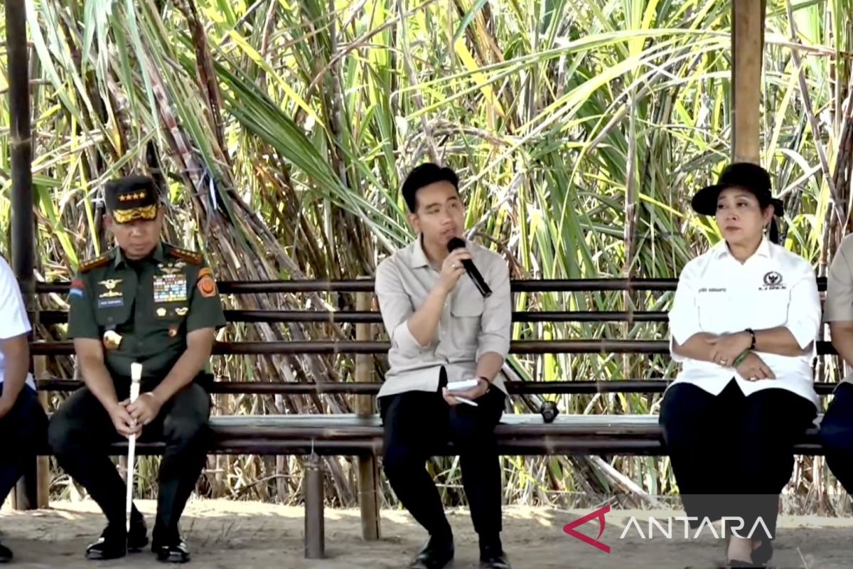 Indonesian VP urges youth, academics to boost agriculture R&D