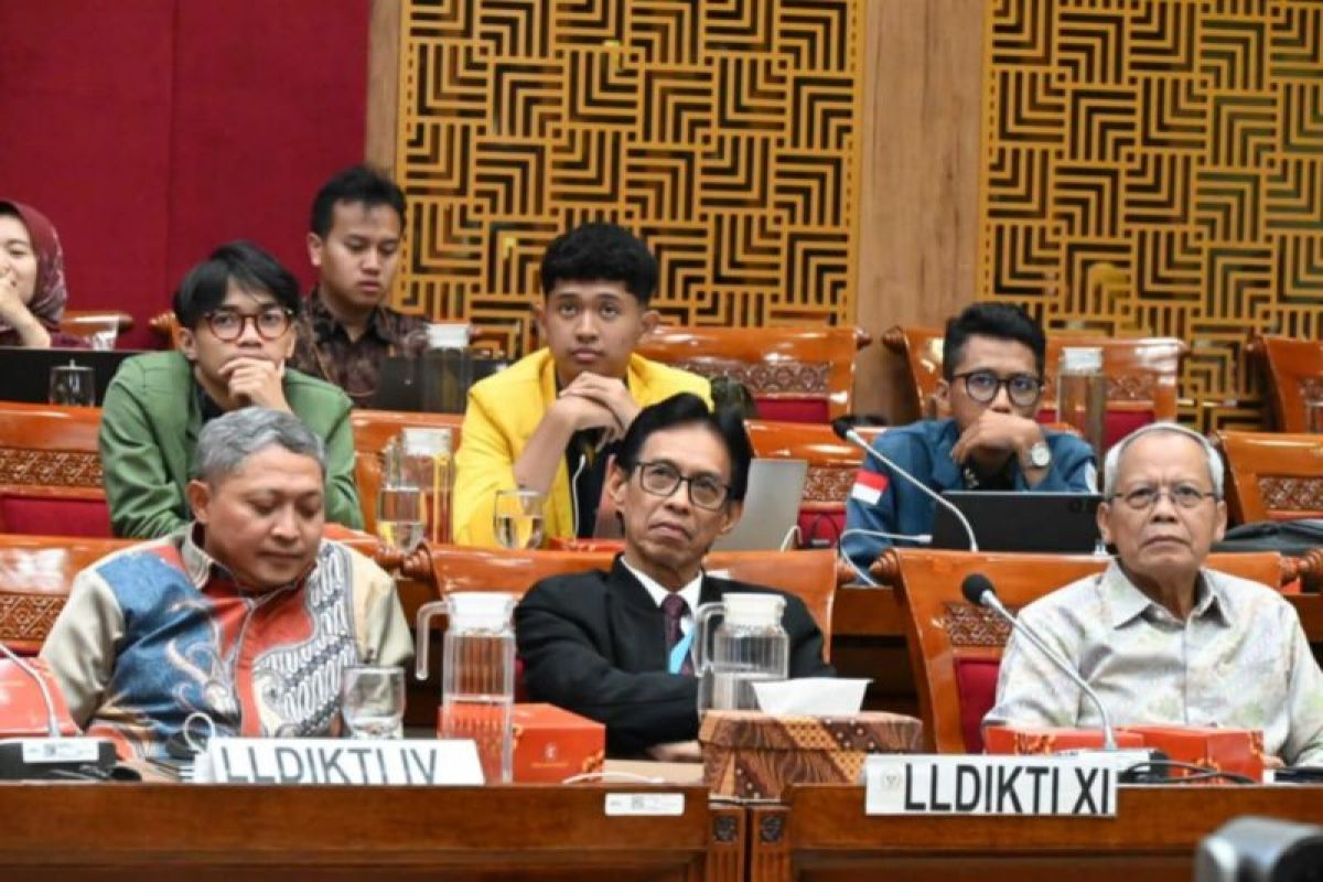LLDIKTI XI bahas isu kesejahteraan dosen di 3T saat RDPU Komisi X DPR RI