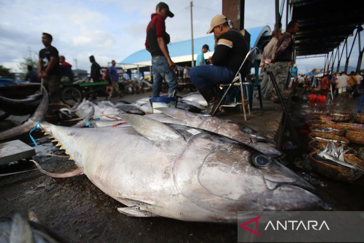 FOTO - Target produksi perikanan nasional