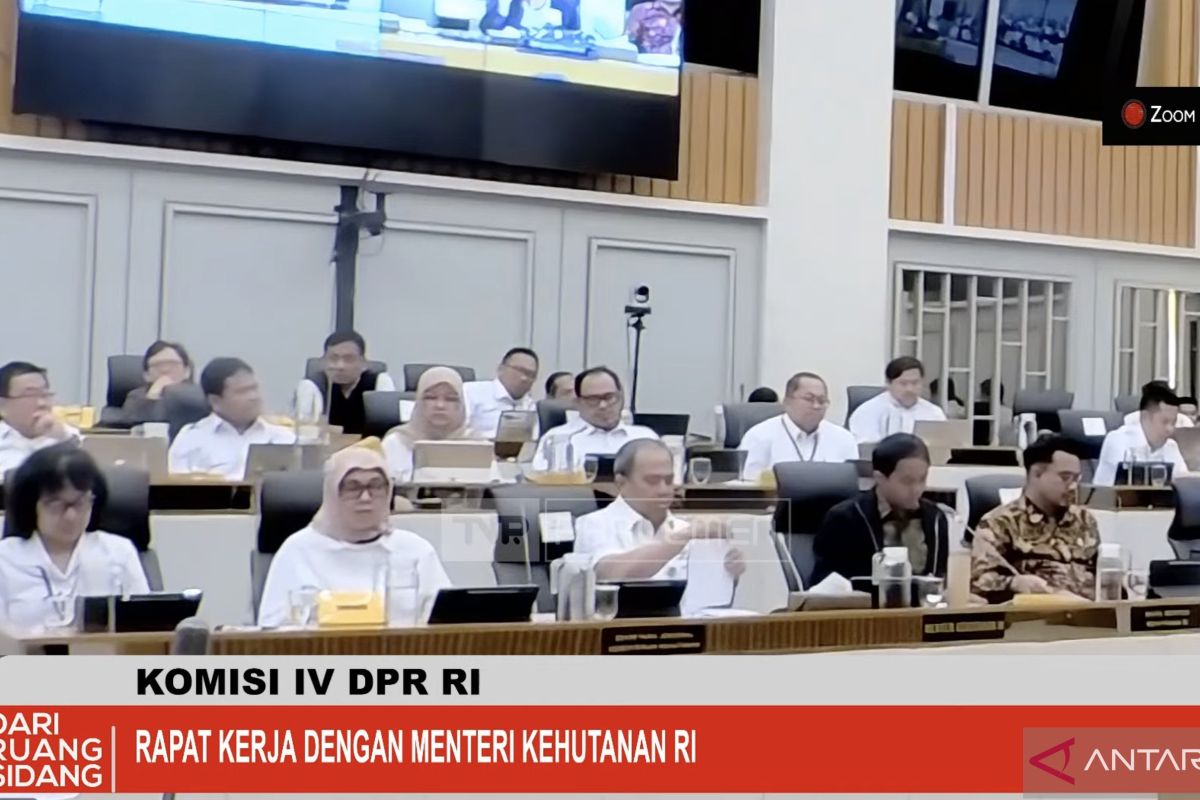 Kemenhut fokuskan hutan untuk pangan hingga hilirisasi pada 2026