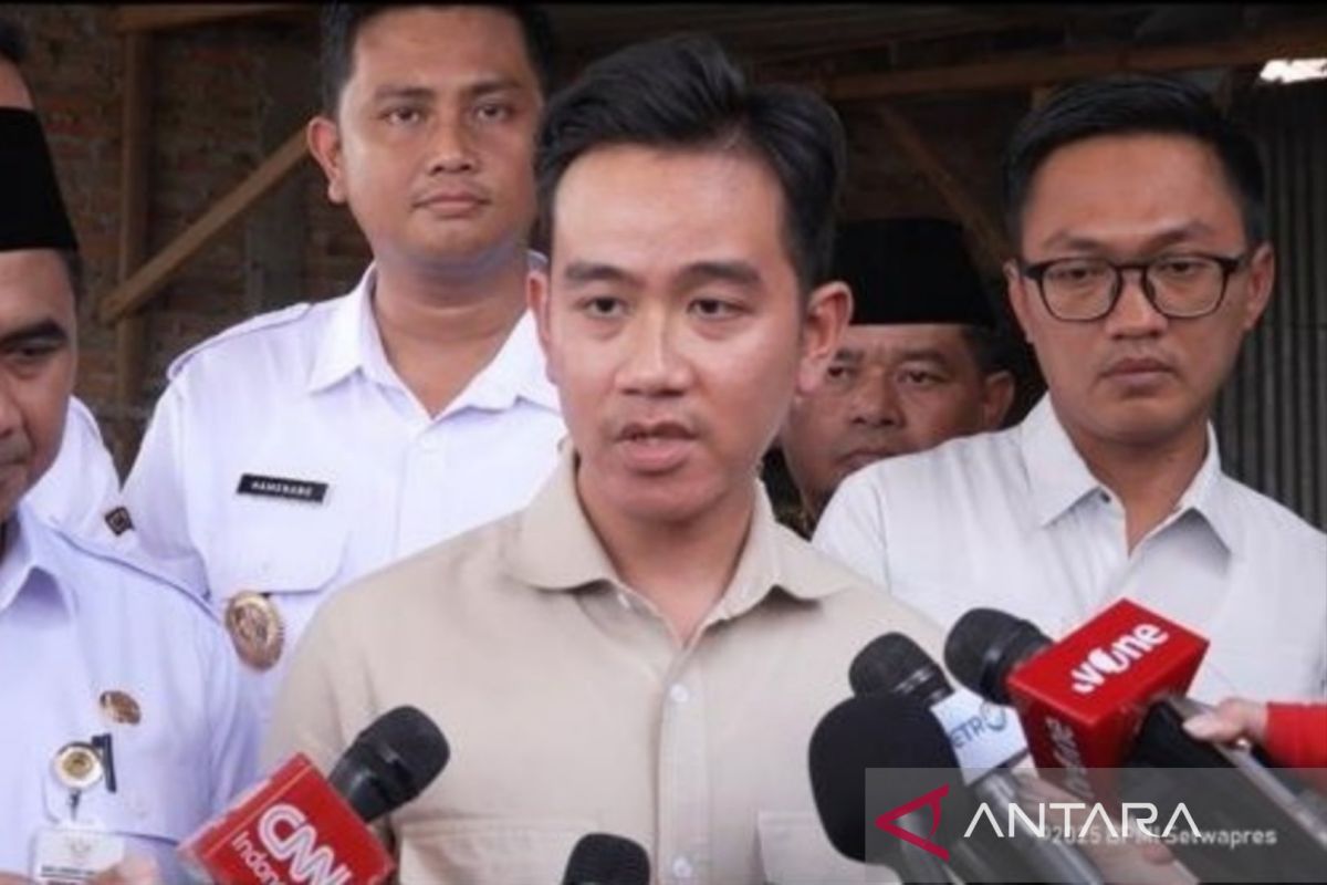 Ready to lead development push in Papua: VP Gibran