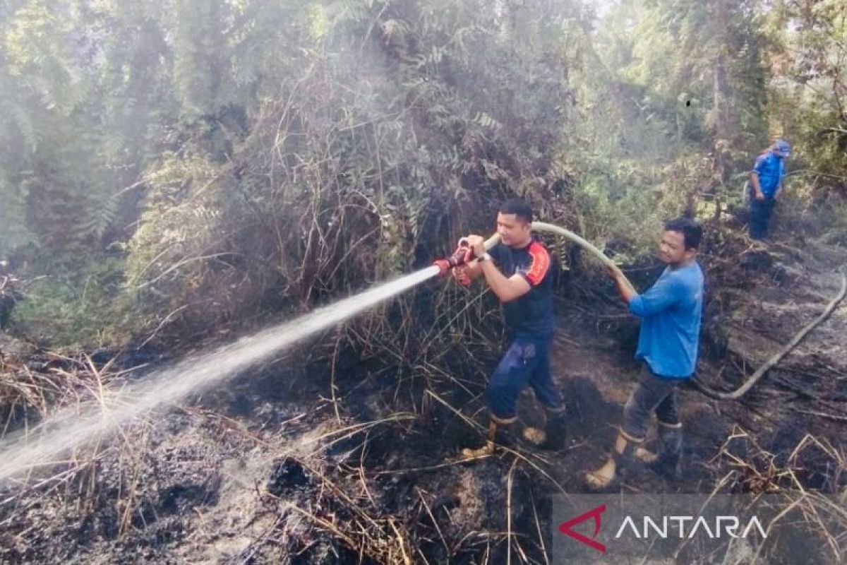 BMKG: Karhutla masih berpeluang terjadi di pantai barat Aceh selama Juli 2025