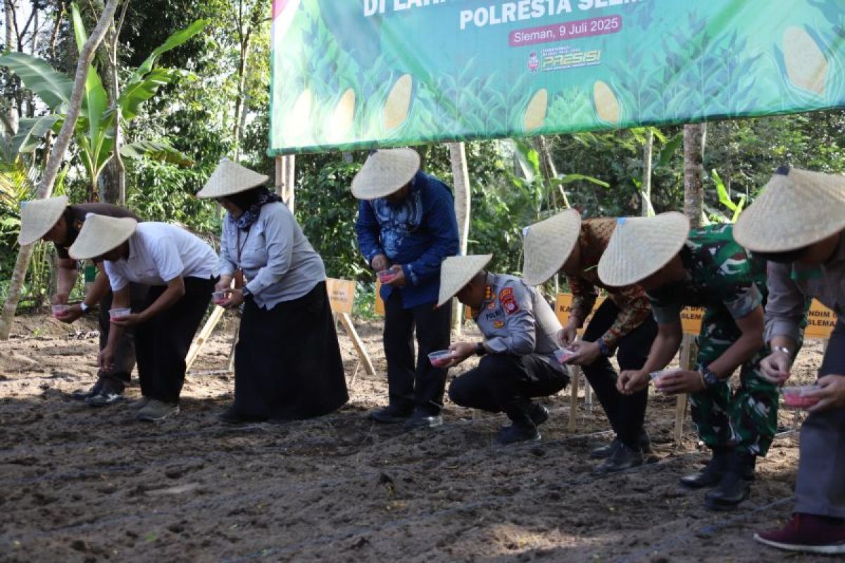 Bupati Sleman ikuti kegiatan tanam jagung bersama Polresta Sleman
