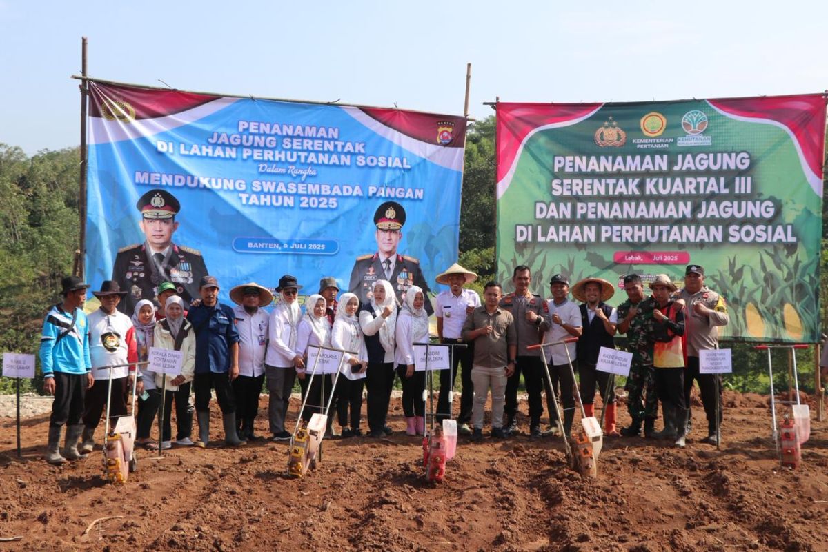 Polres Lebak tanam jagung 432 ha untuk dukung swasembada pangan
