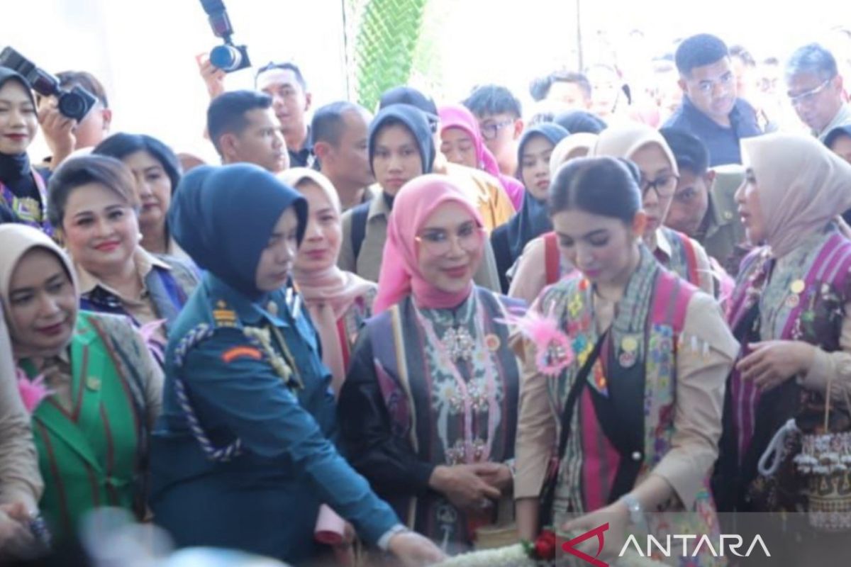 Ketua Dekranas ajak perajin manfaatkan medsos kembangkan usaha
