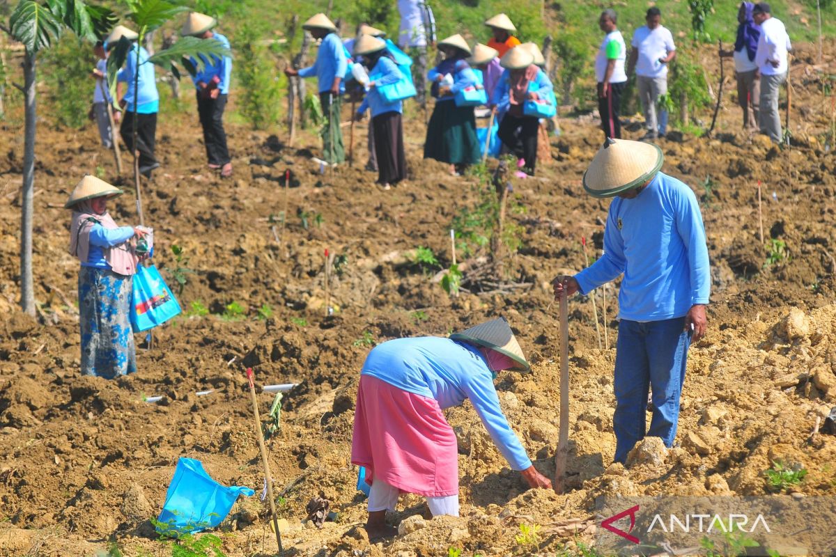 Indonesia taps social forestry to boost food security