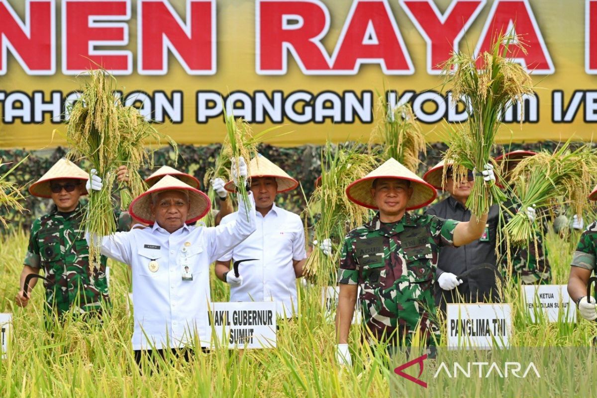 Panglima TNI:  Panen raya bentuk nyata dukung Asta Cita Presiden