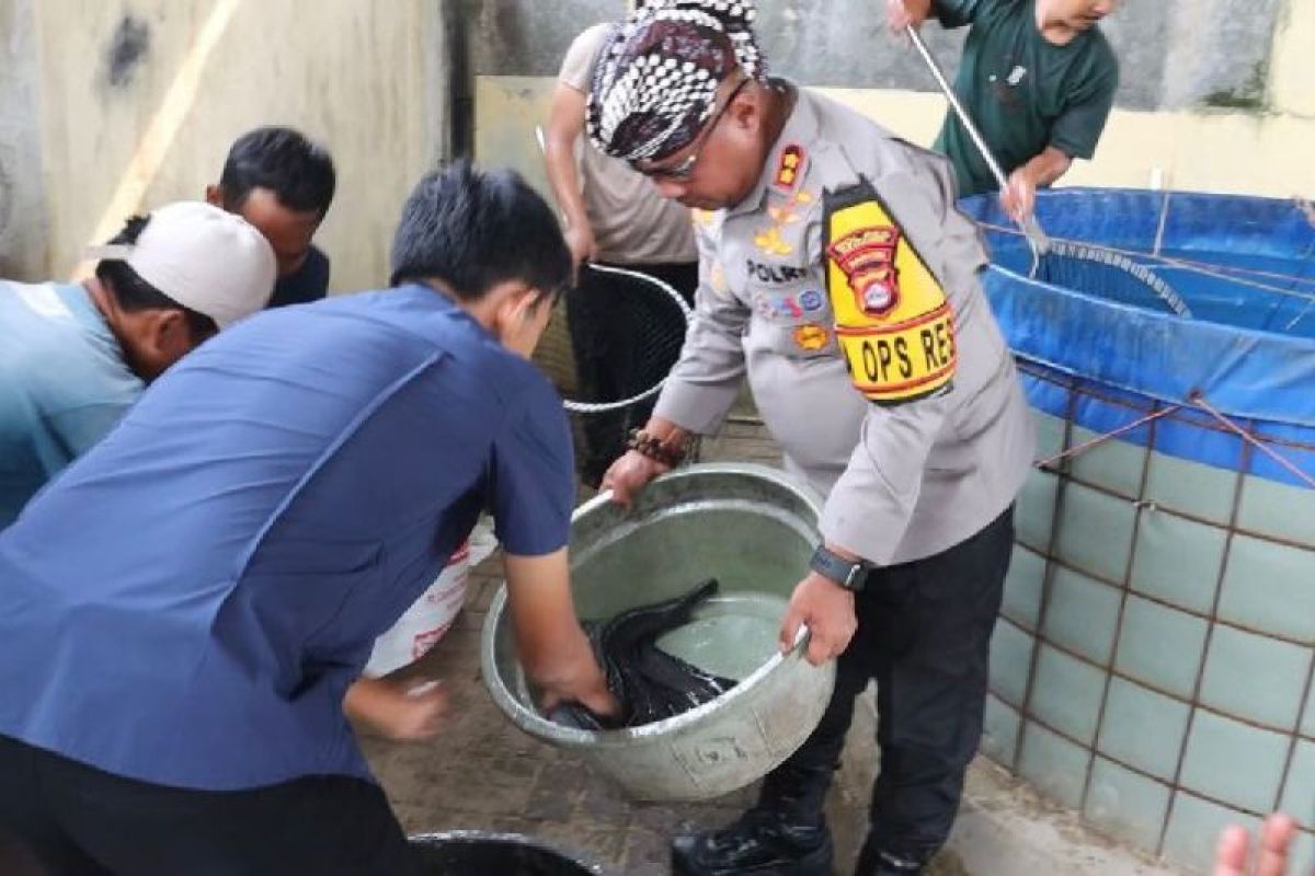 Dukung ketahanan pangan, Polres Serang bagikan ikan hasil budidaya