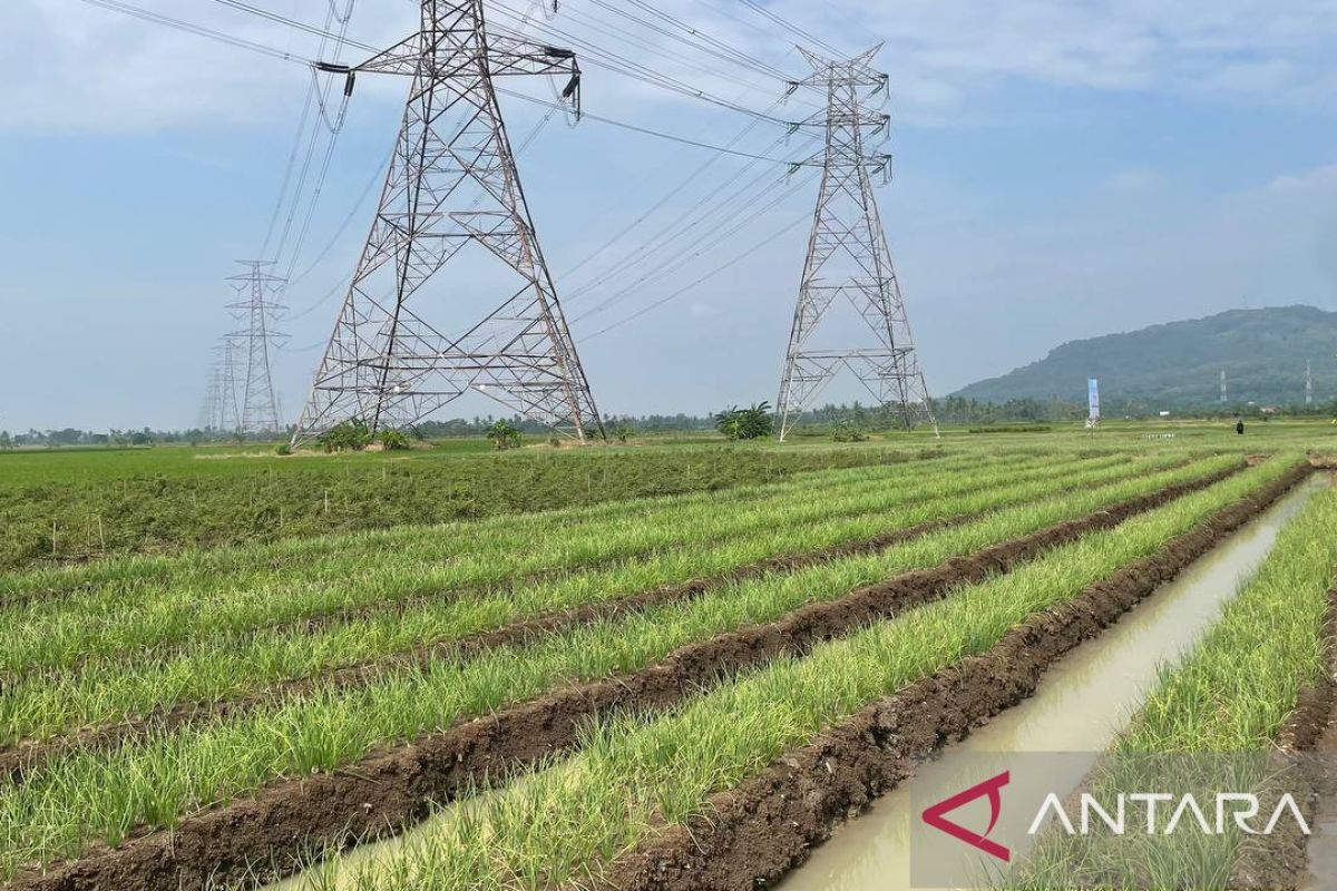 Program prioritas di Kabupaten Serang tunjukkan kemajuan signifikan
