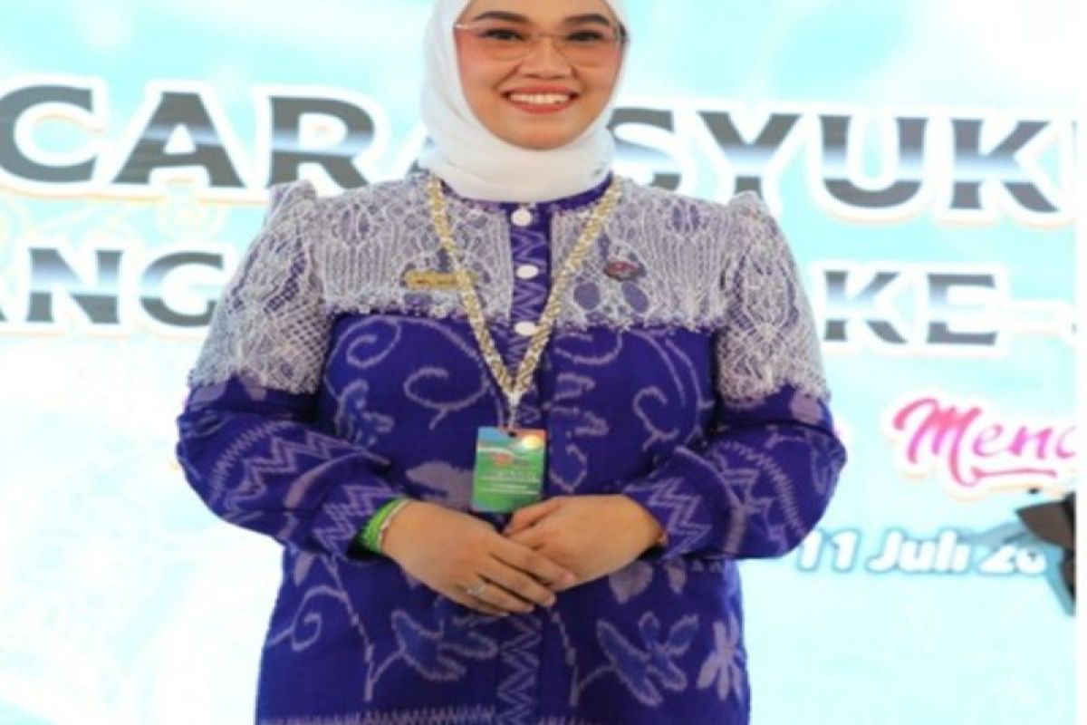 Dekranasda siap majukan industri kreatif di Tanah Bumbu