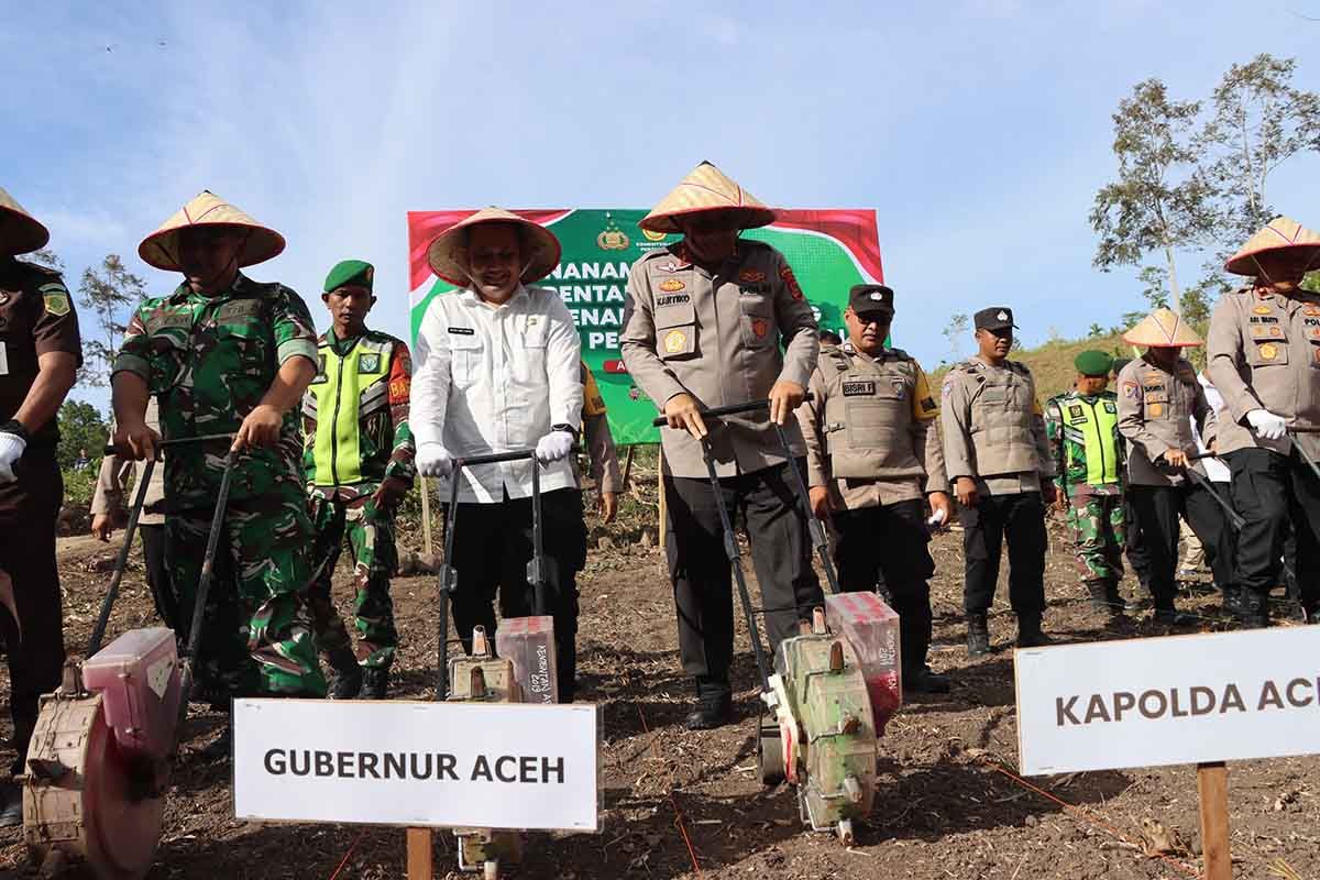 Polda Aceh tanam jagung ketahanan pangan di lahan seluas 141,7 hektare