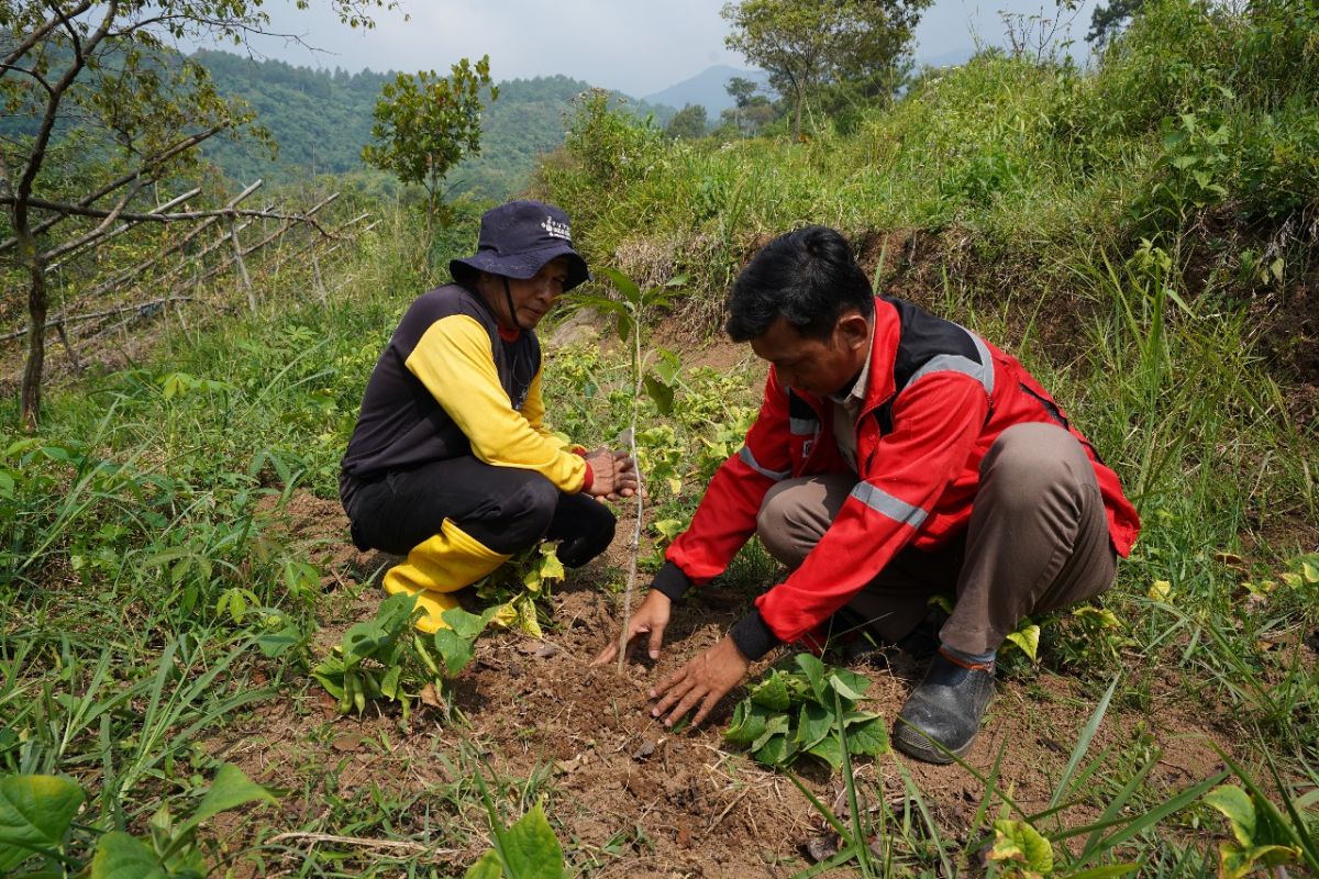 Pupuk Kujang tegaskan komitmen dalam lestarikan lingkungan