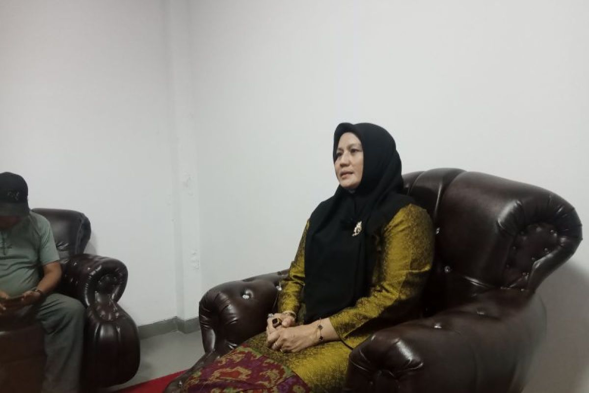 Hellyana mengaku hubungannya dengan Gubernur Babel renggang sejak awal
