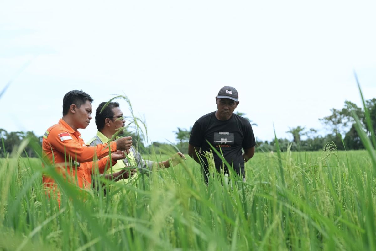 PT Vale hadirkan LRP di Pomalaa untuk dorong kemandirian ekonomi lokal