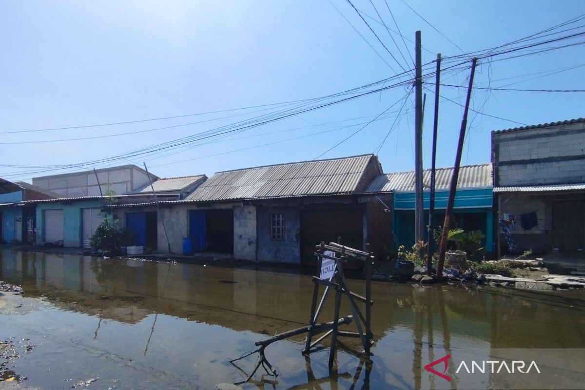 Demak  tetap berharap pembangunan "Giant Sea Wall" atasi rob Sayung