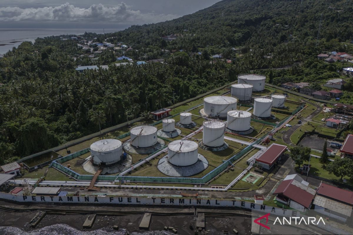 Energy Minister backs TNI role in securing strategic assets