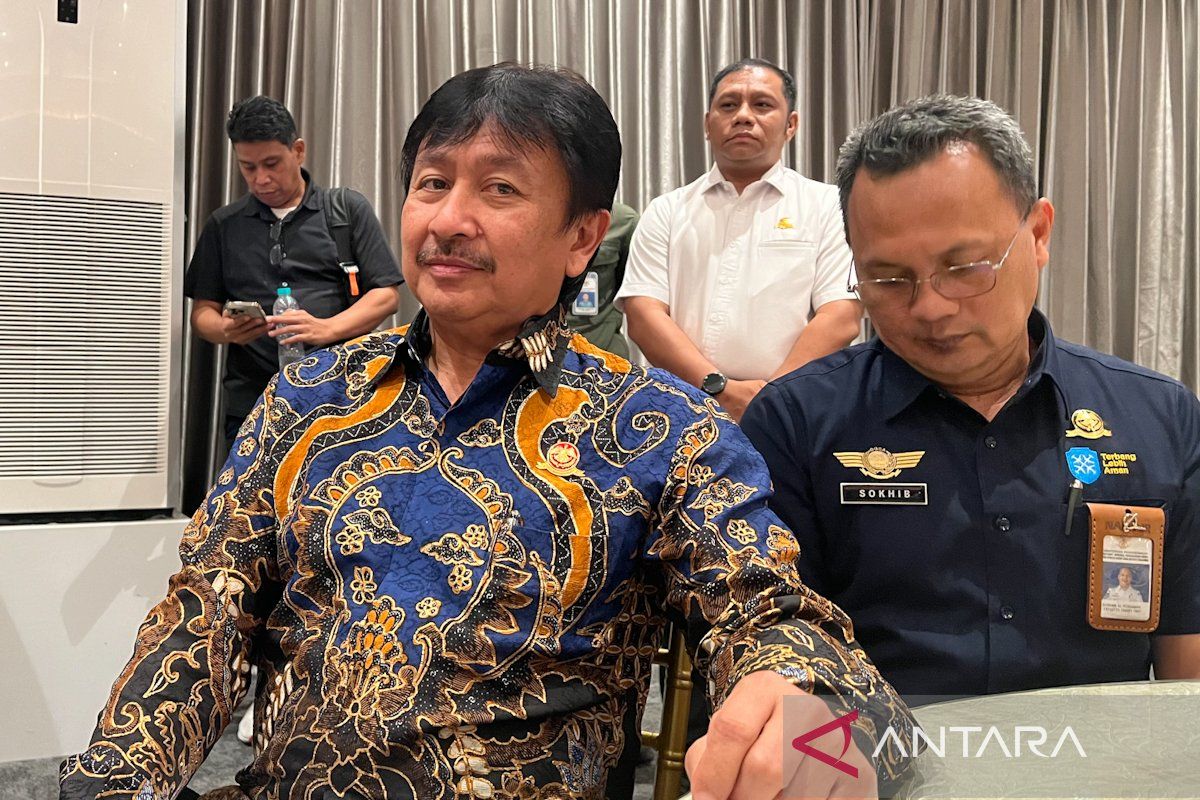 Dirjen Kemenhub ingatkan bahaya layangan bagi keselamatan penerbangan