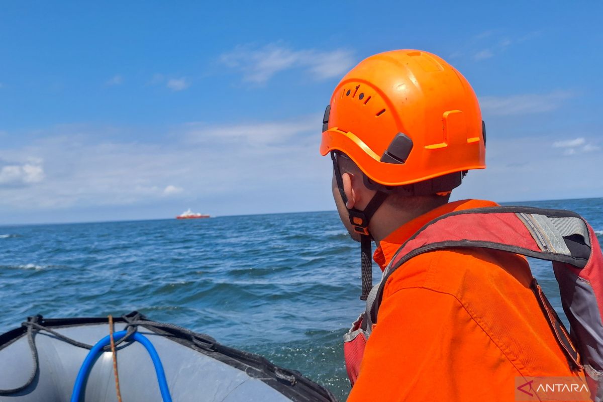 Ferry sinking: Search efforts focus on southern Bali strait