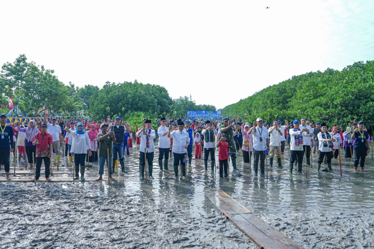 Transjakarta tanam 15 ribu bibit mangrove guna kurangi polusi Jakarta